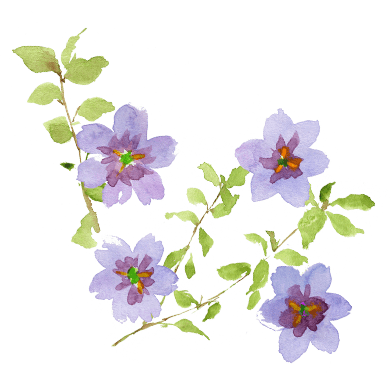 紫の花のイラスト