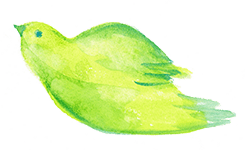 飛ぶ鳥のイラスト